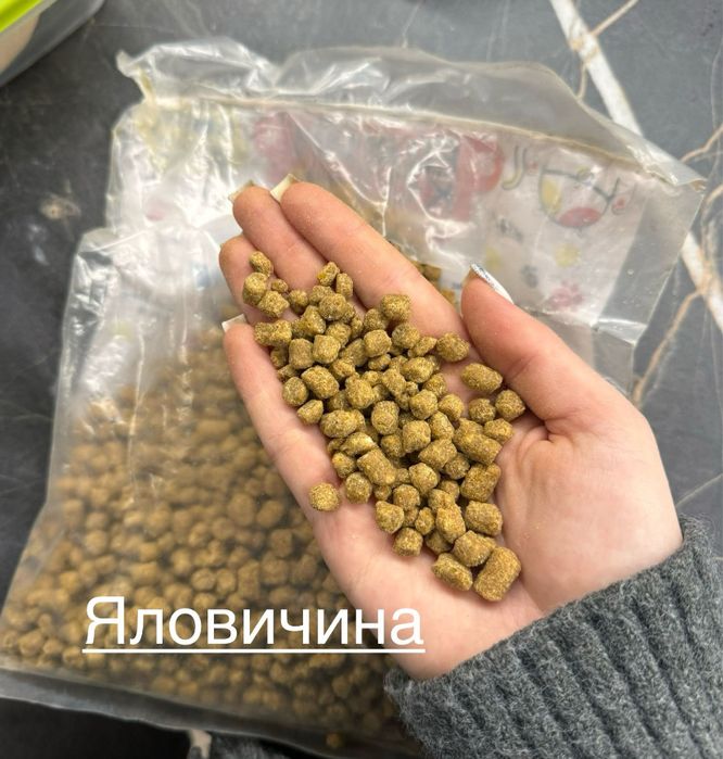 Сухий корм для котів з різними смаками 10кг., в асортіменті