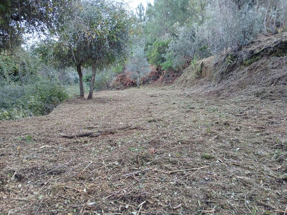 Trabalhos agrícolas e  florestais