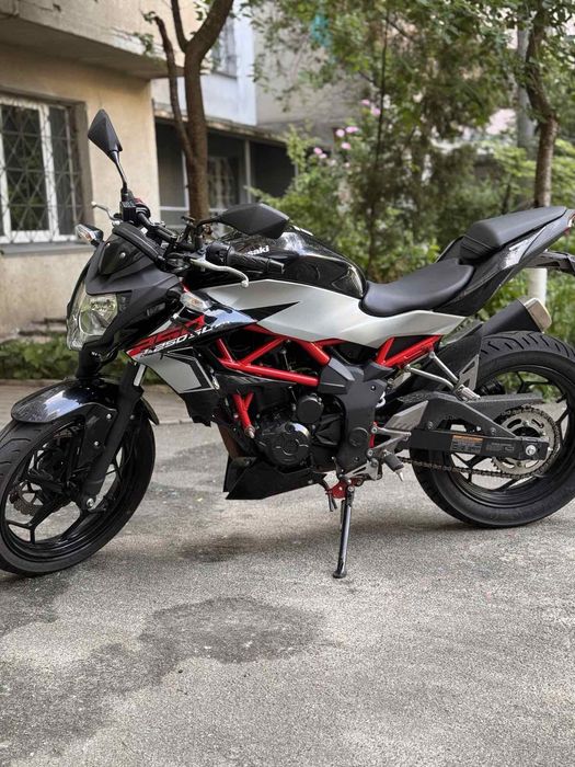 Мотоцикл Kawasaki BR-250 EJF