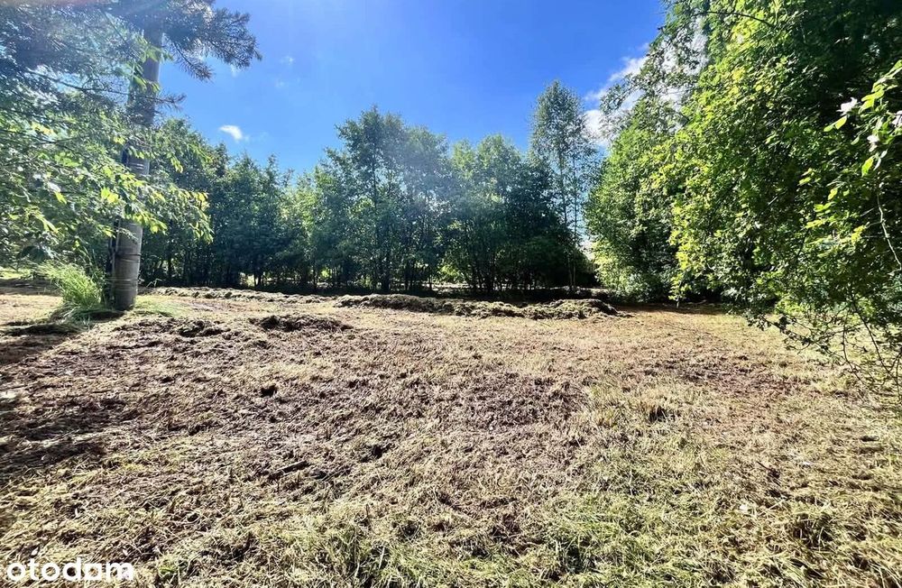 Działka budowlana 1288m² Rokitnica|przy lesie i stawie|Prąd na działce - Widok 2
