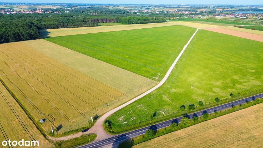Działki pod LASEM ! Możliwość płaskich dachów ! od 806m2