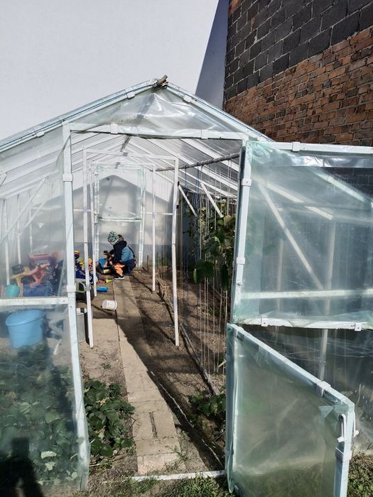 Szklarnia 3 letnia