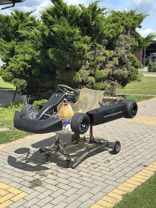 IAME 100cc gokart karting 2t 30hp sprawny 100% mozliwy transport