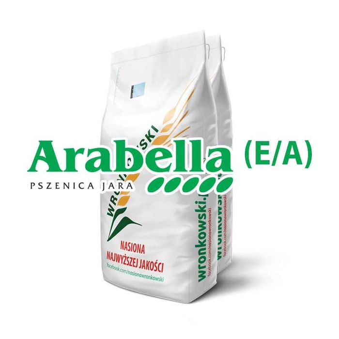 Materiał siewny zboża - jęczmień pszenica pszenżyto żyto owies nasiona