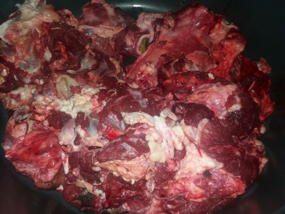 мясо телятина для собак