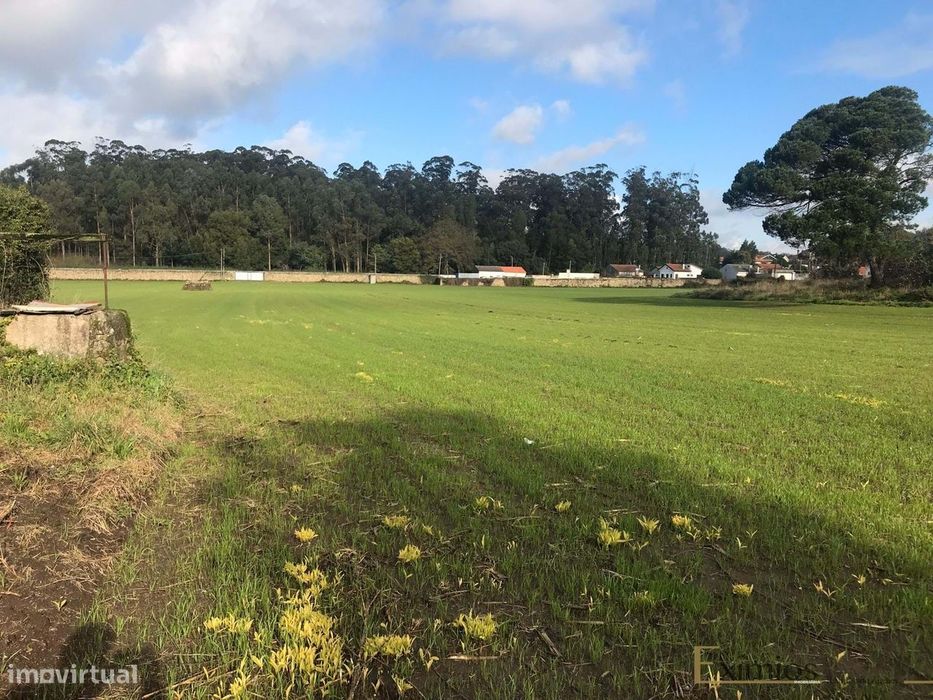 Terreno para construção, em Beiriz