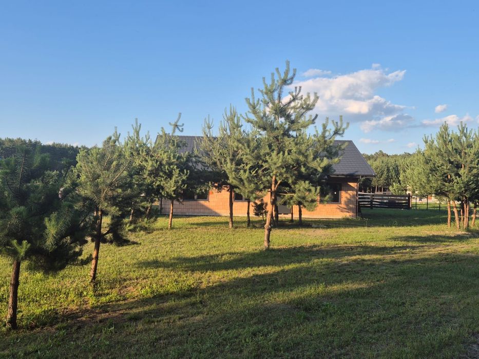 DOM 106 m² | DZIAŁKA 978 m² | KOLONIA MIERZYN, GM. ROZPRZA | 380 000 ZŁ - Widok 2
