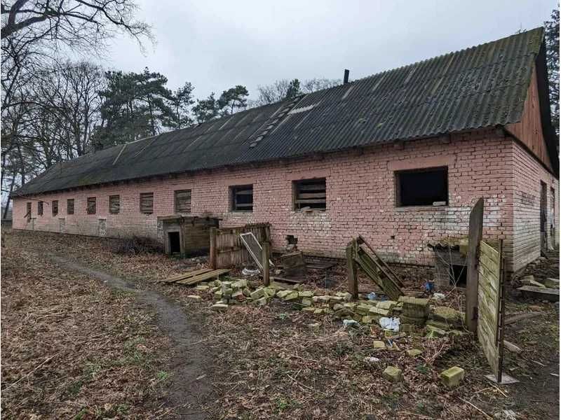 ПРОДАЖ - Будівлі виробничого призначення у складі: картоплесховище та свинарник, загальною площею 527,3 кв.м. м. Ківерці