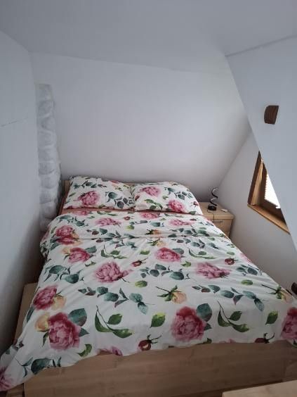 Domek letniskowy nad Popradem
