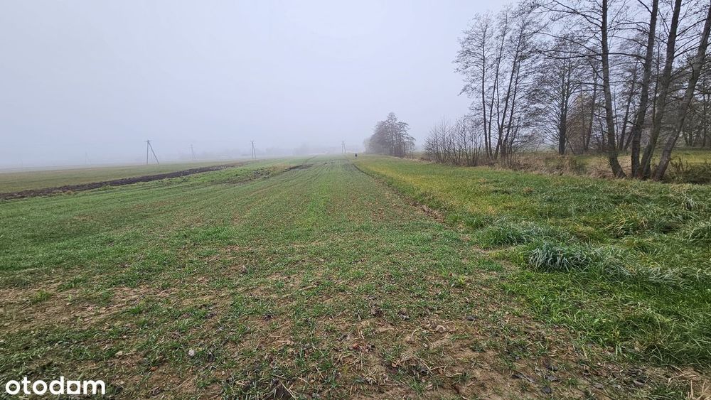 Działki o powierzchni 3700 m2