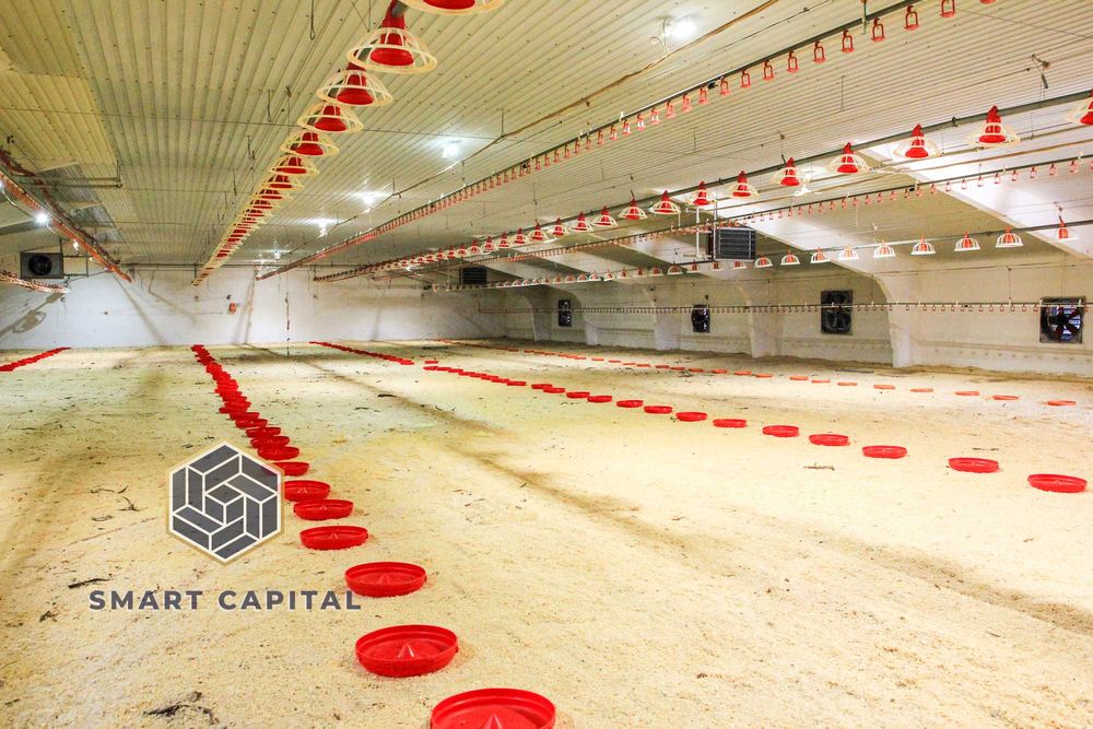 Продаж Діючого Виробництва Птахівництво Ферма Луб'янка під Києвом