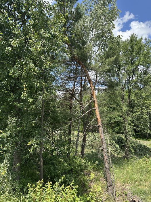 Продаж ділянки в Ірпіні, вулиця Київська