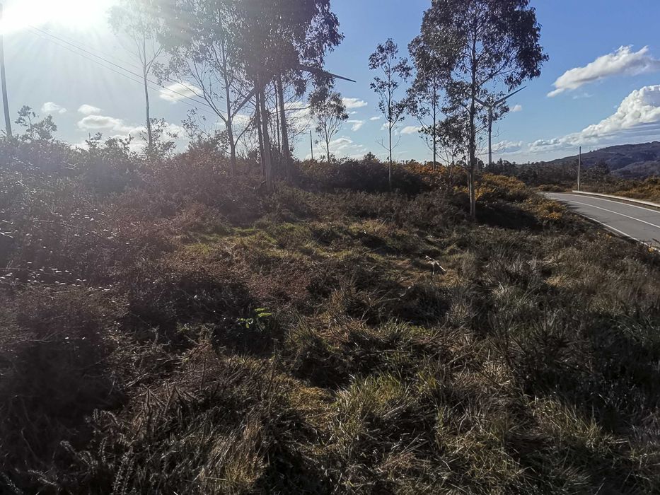 Terreno Serras de Fafe junto à estrada