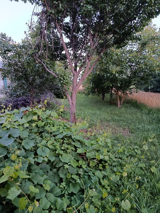 Продається будинок