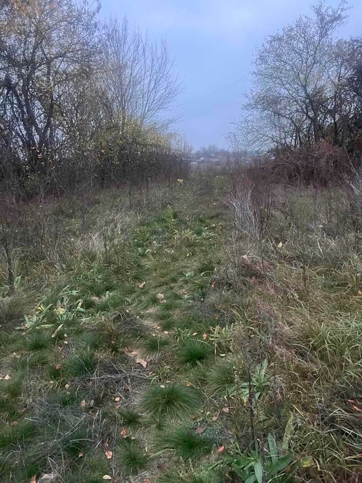 Пропоную до продажу земельну ділянку в с. Мошни