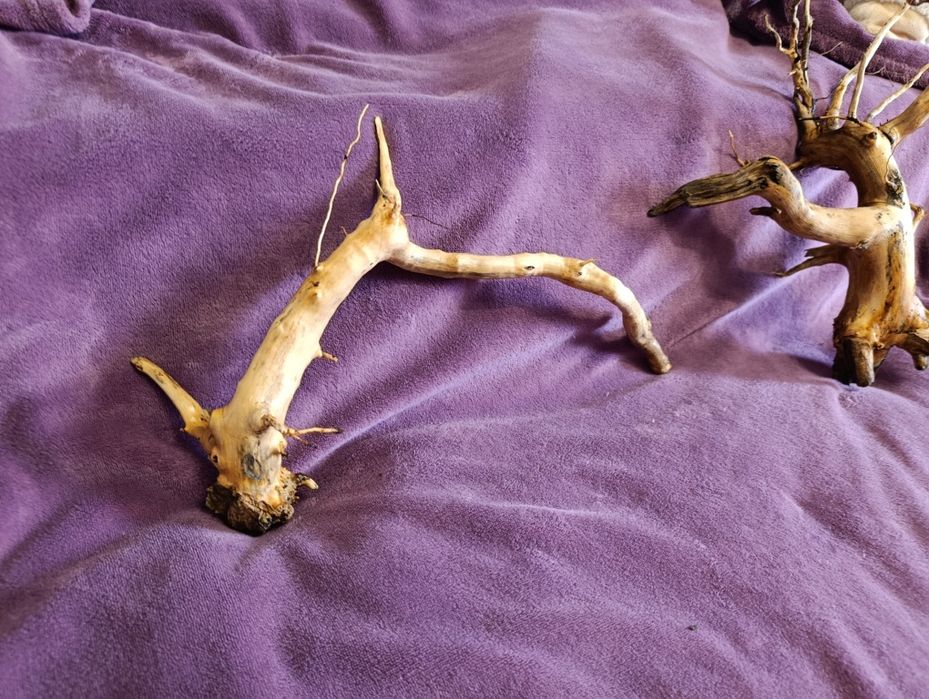 Коряга для акваріума