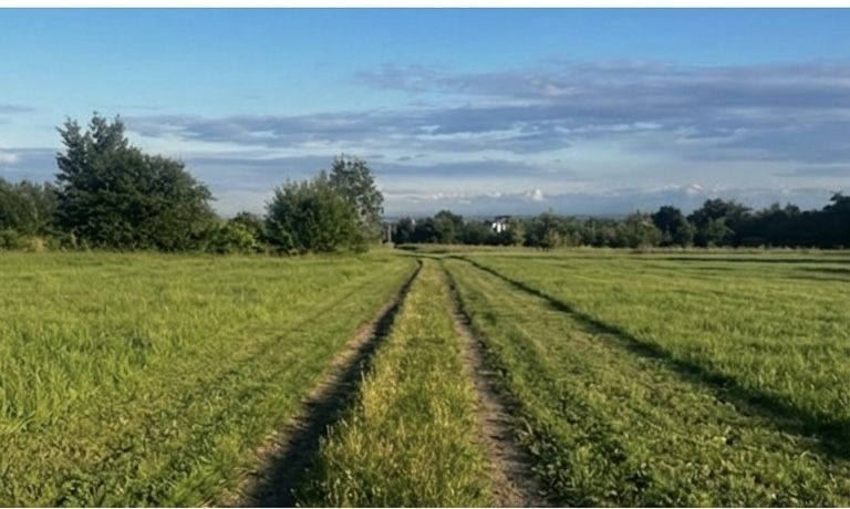Продається панорамна земельна ділянка біля Івано-Франківська/Колодіївка - View 3