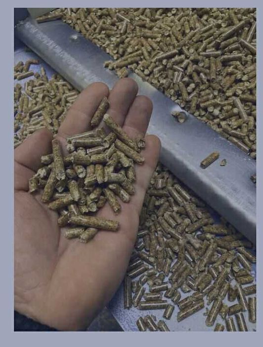 Pellet A1   SOSNOWO-ŚWIERKOWY Rybnik 2095ł dostępny od ręki
