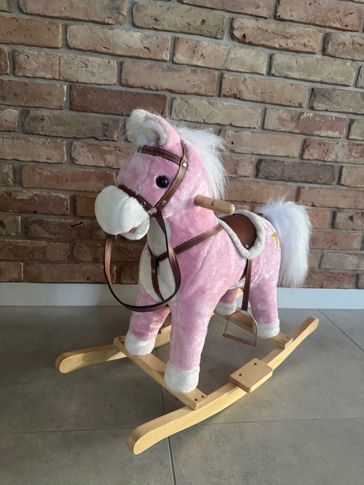 Konik na biegunach