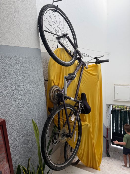 Bicicleta senhora