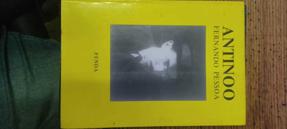 livro "Antinoo", escrito pelo Fernando Pessoa.edição bilingue 1988