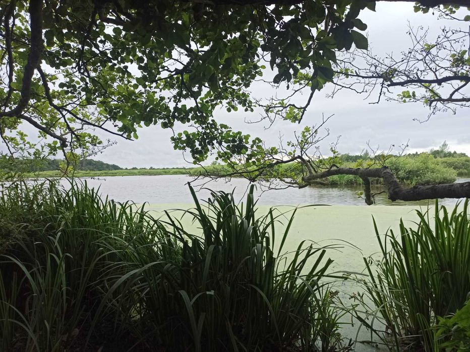 oferta NAJMU dwóch APARTAMENTÓW - Kołobrzeg