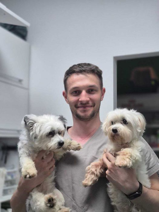 Ветеринар на дім