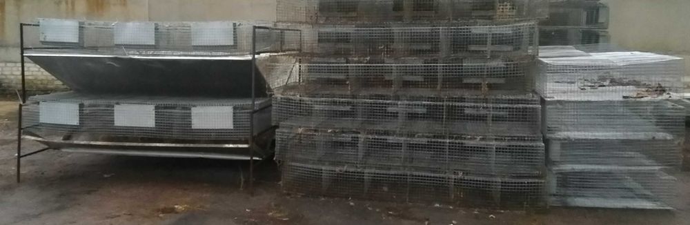 Клітки для кролів та птиці відгодівельна КВ-6С