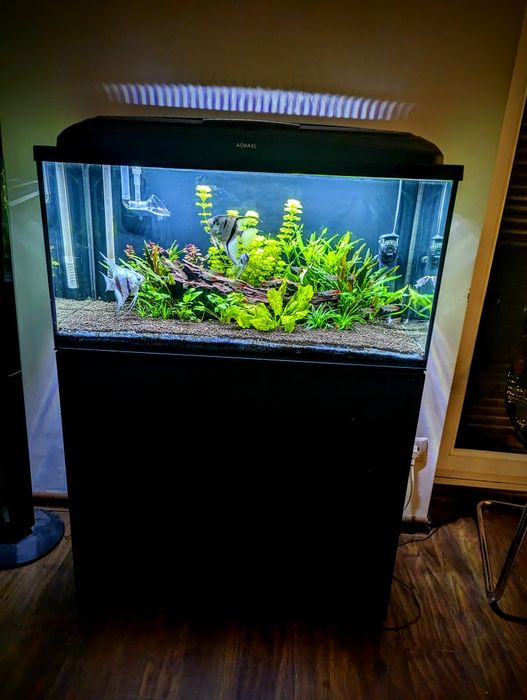 Świetlówka LED Aquael Leddy Tube 16W PLANT (Zamiennik T5/T8 Retrofit)