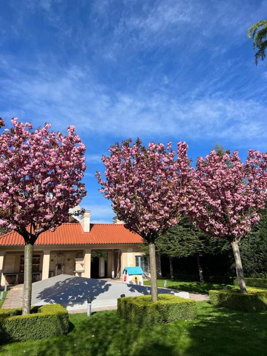 Дом по адресу ул. Спортивная (площадь 550 м²) - Atlanta.ua - фото 14