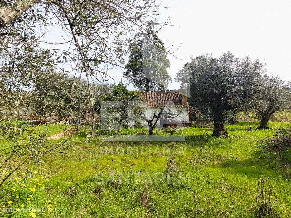 Terreno com cerca de 1 Hectare