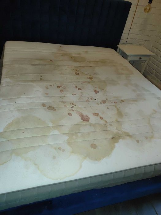 Czyszczenie Tapicerki Meblowej I Samochodowej Materacy Sof Foteli Krzeseł Aut Dywanów