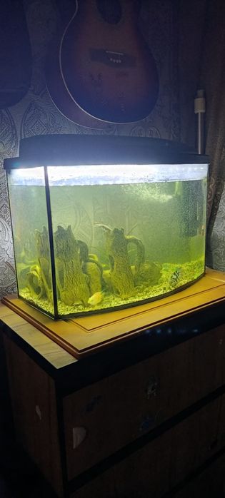 Акваріум  з кришкою 70 літрів.
