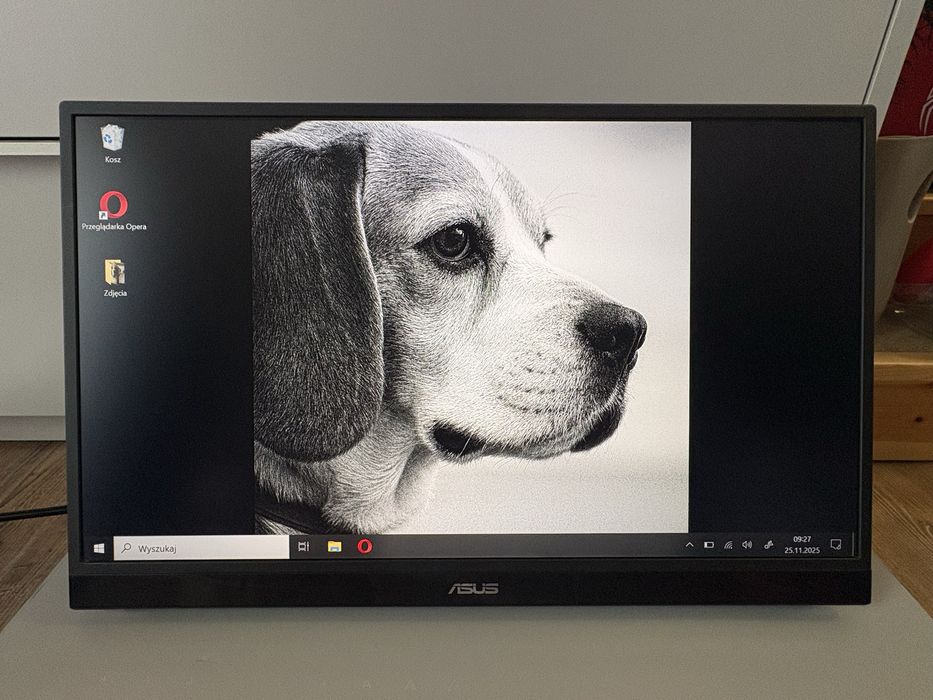 Monitor Asus ZenScreen 17.3” 144Hz MB17AHG