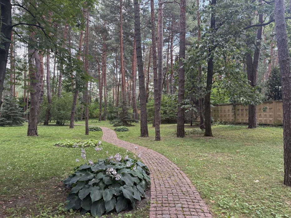Продаж Краща ділянка Козин Конча Заспа 50 соток Сосновий Бір Ліс Сосни