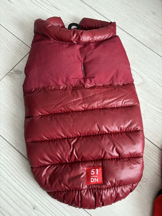 Kurteczka dla Psa rozmiar 38