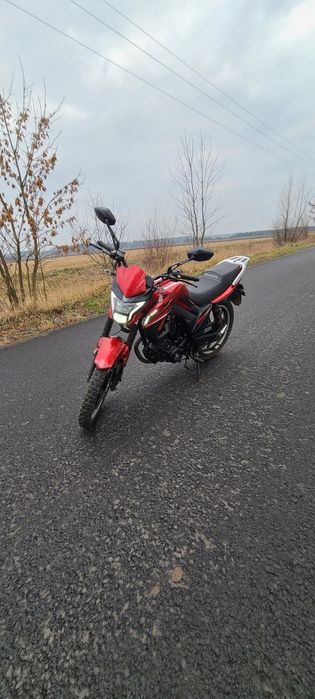 Продаю Mustang region (fortuna) 200