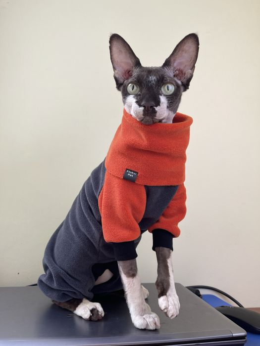 Шапка для сфінкса кота кішки кошеня одежда для кота свитер толстовка