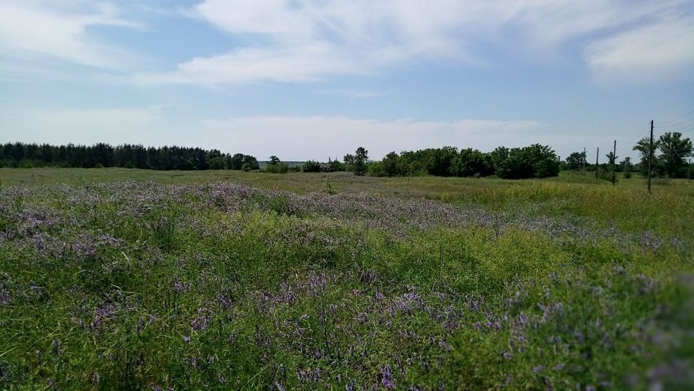 продам земельный участок 1 Га