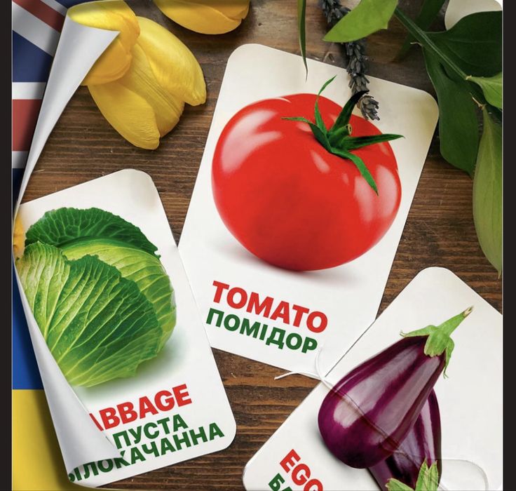 Картки Домана, нові, 13 тем, якісний картон, анг-укр