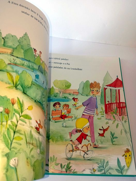 O Livro das Minhas  Emoções