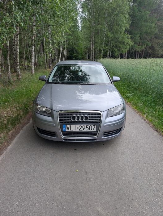 Audi A3 8p 1.9 TDI