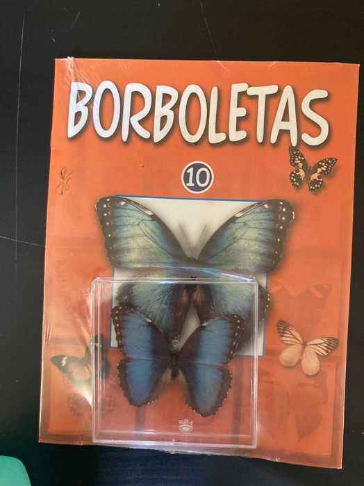 Borboletas verdadeiras Coleção