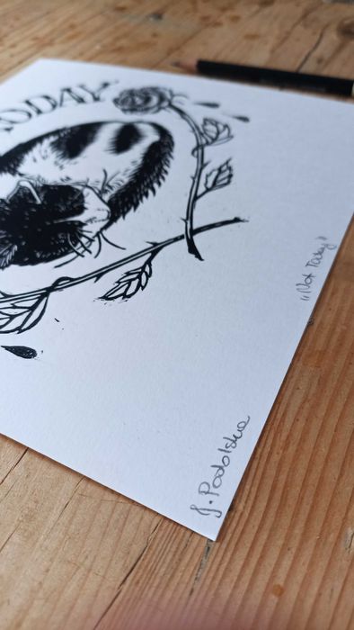 Linoryt, czarno biały kot "Not Today", grafika 21 x 21 cm