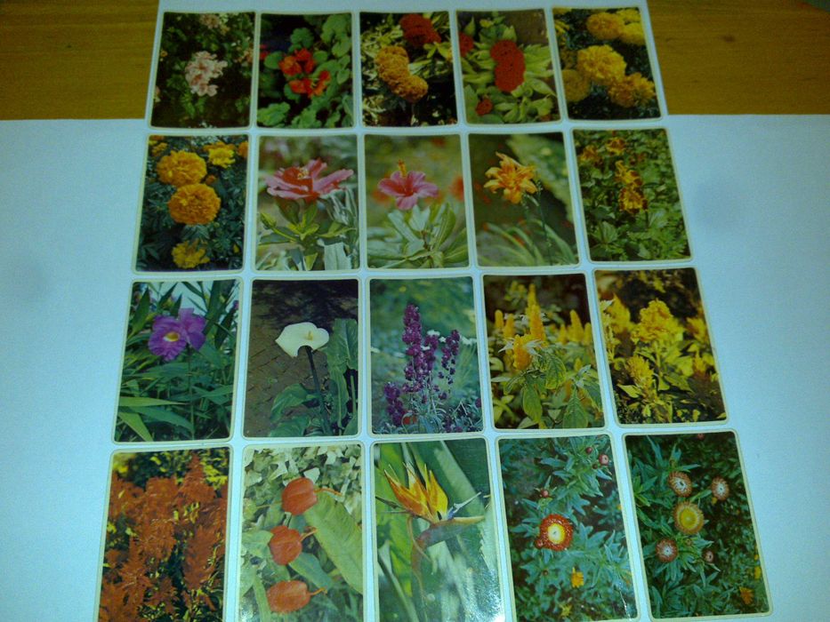 flores - coleção primavera (100 calendários) 1985 rara