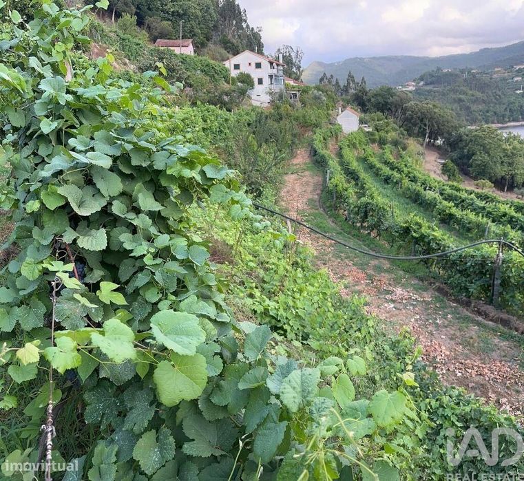 Quinta rural T4 em Valadares de 40000 m2