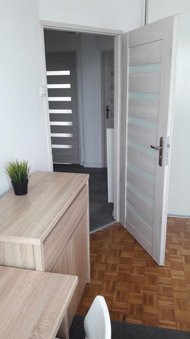 Pokój na Biskupinie Olszewskiego