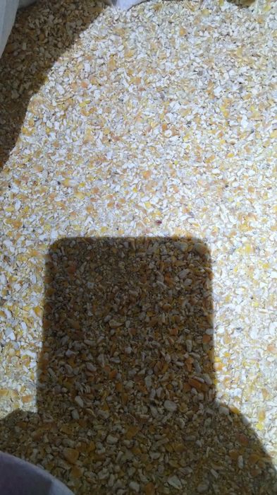 Кукурудза бита продам 2 тонни