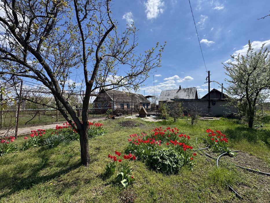 Продам будинок Перевізьські Хутори (Покров)