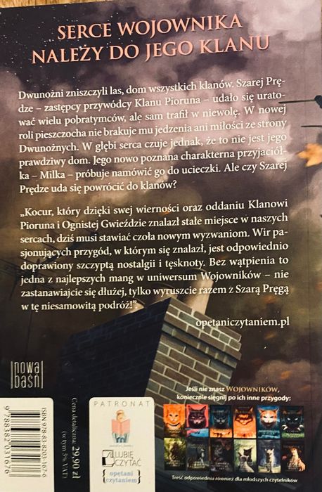 Książki wojownicy szara pręga